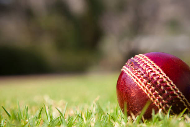 Cricket exchange betting